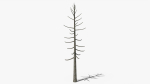 Lowpoly Dead Pine v2