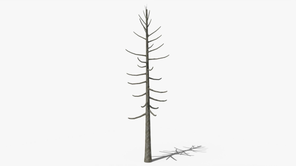 Lowpoly Dead Pine v2