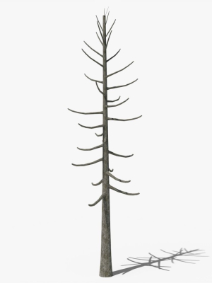 Lowpoly Dead Pine v2