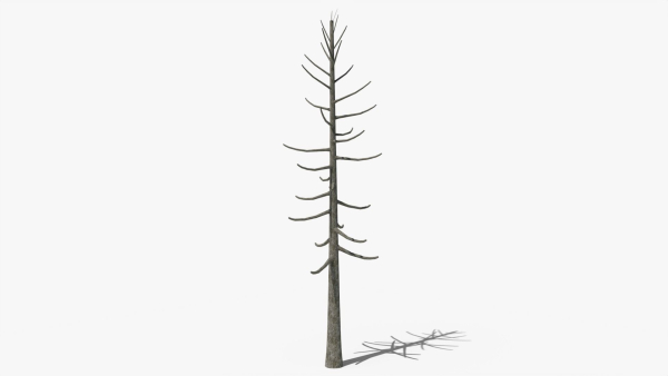 Lowpoly Dead Pine v2