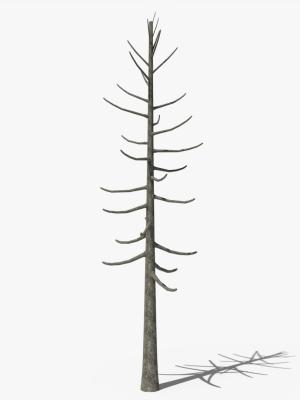 lowpoly-dead-pine-v2-3d-model-9360ade0d8