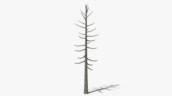 Lowpoly Dead Pine v2