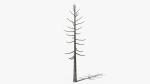 Lowpoly Dead Pine v2