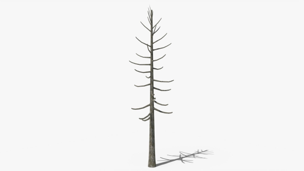 Lowpoly Dead Pine v2