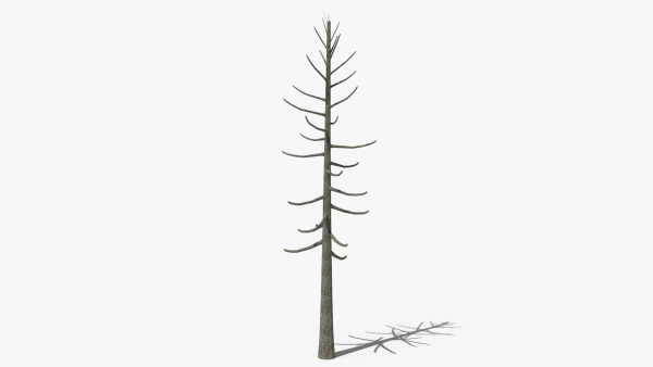 Lowpoly Dead Pine v2