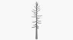 Lowpoly Dead Pine v2