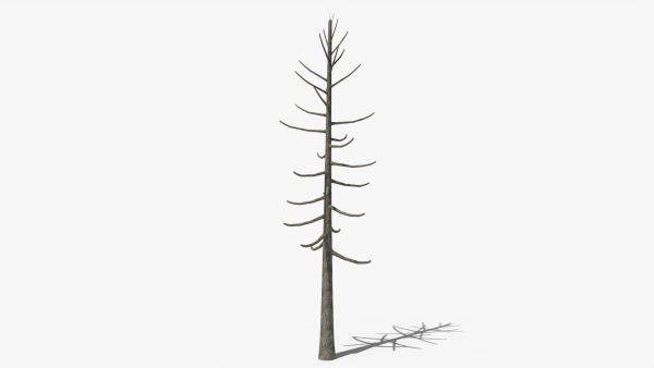 Lowpoly Dead Pine v2