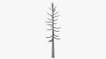 Lowpoly Dead Pine v2
