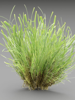 lowpoly-grass-collection-vol-174-blender-3d-model-13ca842115