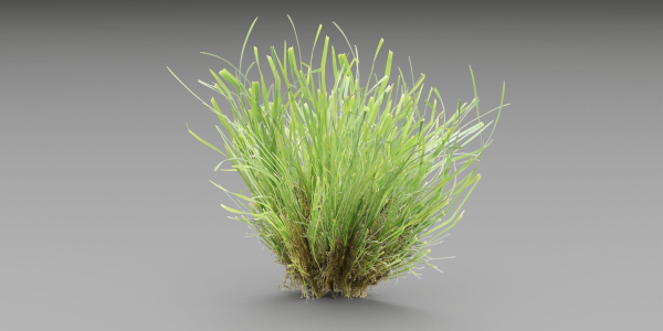 Lowpoly Grass collection vol 174-Blender