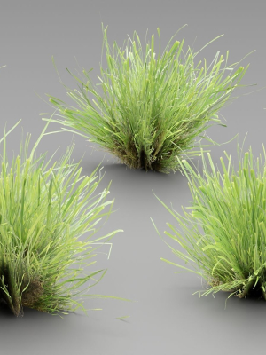 Lowpoly Grass collection vol 174-Blender