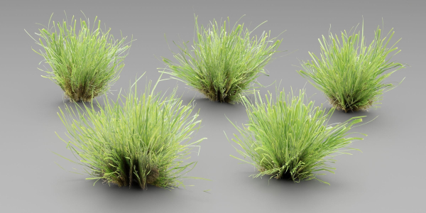 Lowpoly Grass collection vol 174-Blender