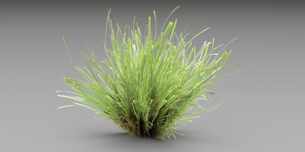 Lowpoly Grass collection vol 174-Blender