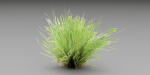 Lowpoly Grass collection vol 174-Blender