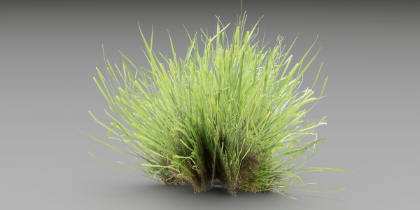 Lowpoly Grass collection vol 174-Blender