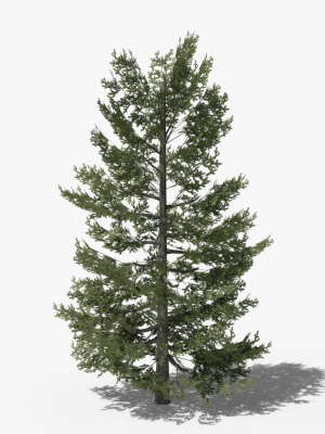 lowpoly-pine-v10-3d-model-aa49be11b9