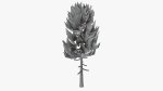 Lowpoly Pine v3
