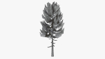Lowpoly Pine v3
