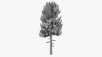 Lowpoly Pine v3