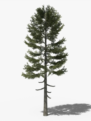 lowpoly-pine-v3-3d-model-d5b8ae2043