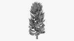 Lowpoly Pine v4