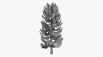 Lowpoly Pine v4