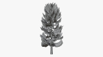 Lowpoly Pine v4