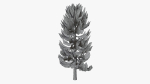 Lowpoly Pine v4