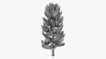 Lowpoly Pine v4