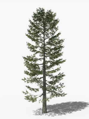 Lowpoly Pine v4