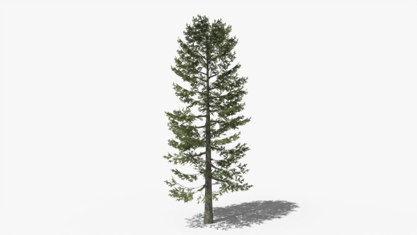 Lowpoly Pine v4