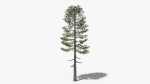 Lowpoly Pine v5