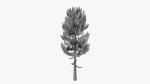 Lowpoly Pine v5