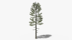 Lowpoly Pine v5