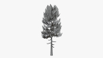 Lowpoly Pine v5
