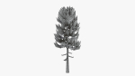Lowpoly Pine v5