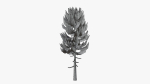 Lowpoly Pine v5