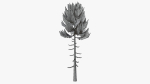 Lowpoly Pine v6