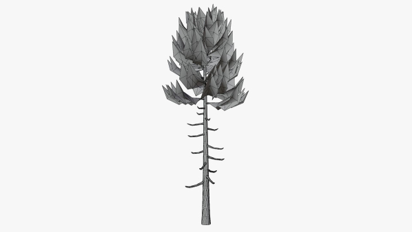 Lowpoly Pine v6
