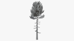 Lowpoly Pine v6