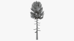 Lowpoly Pine v6