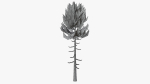 Lowpoly Pine v6