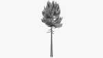 Lowpoly Pine v7