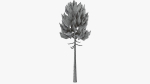 Lowpoly Pine v7