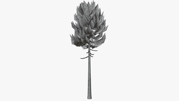 Lowpoly Pine v7