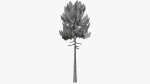 Lowpoly Pine v7