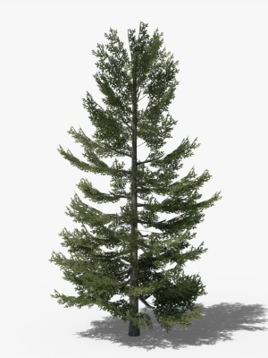 lowpoly-pine-v8-3d-model-487ad5790f