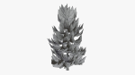 Lowpoly Pine v8