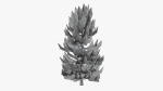 Lowpoly Pine v8