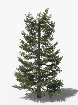 lowpoly-pine-v9-3d-model-7718ed0764